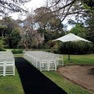 Black Carpet - 10m