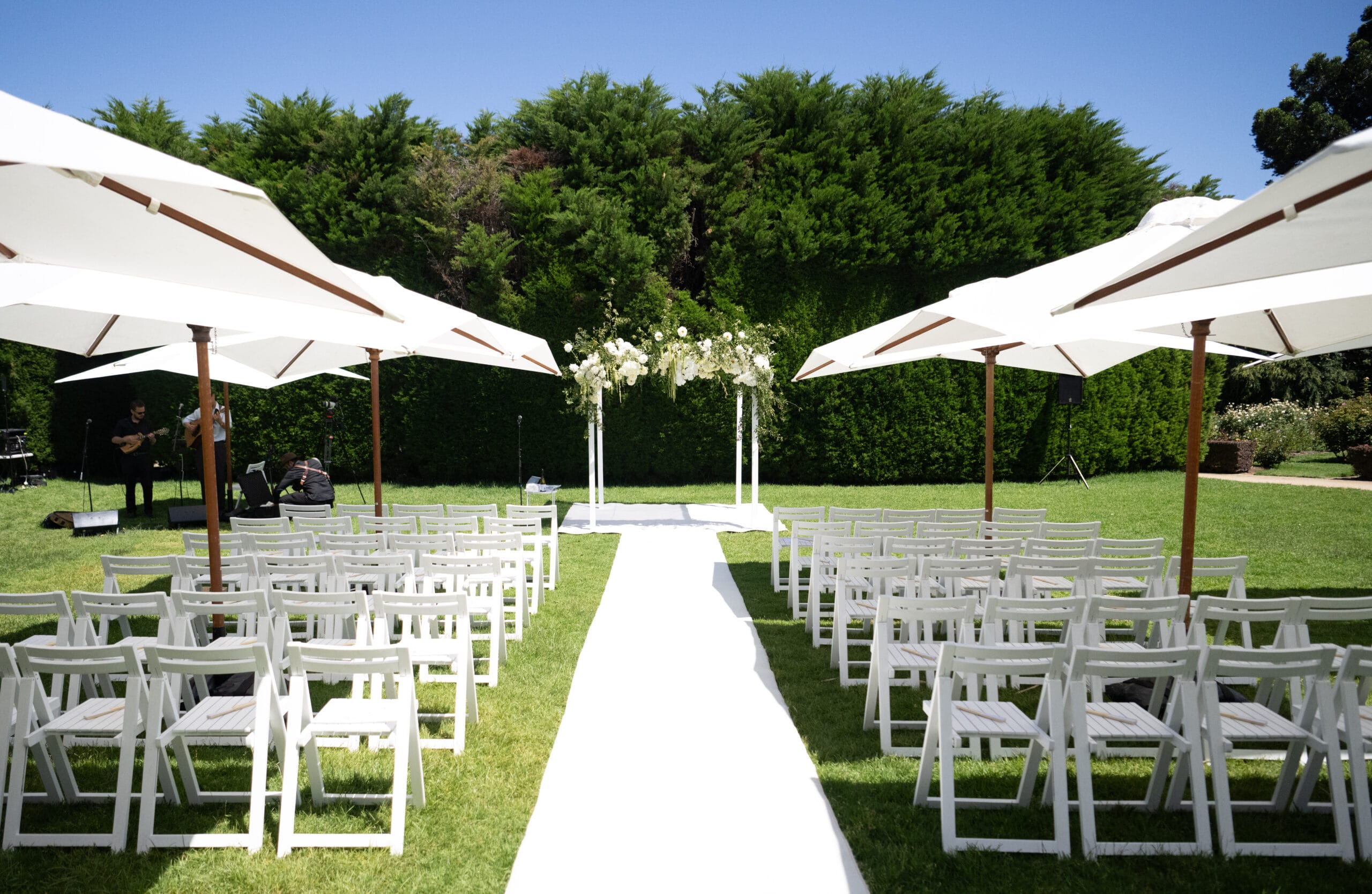 Ivory Carpet