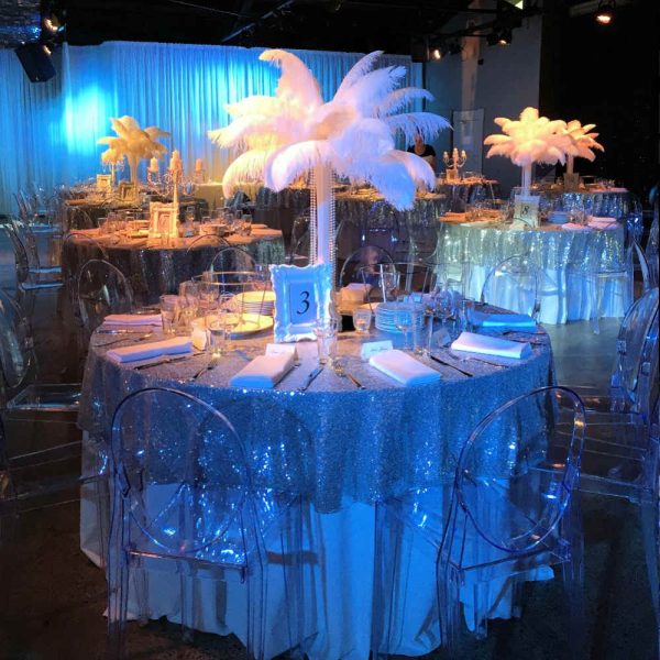 Ostrich Feather - 1 - Hire Melbourne
