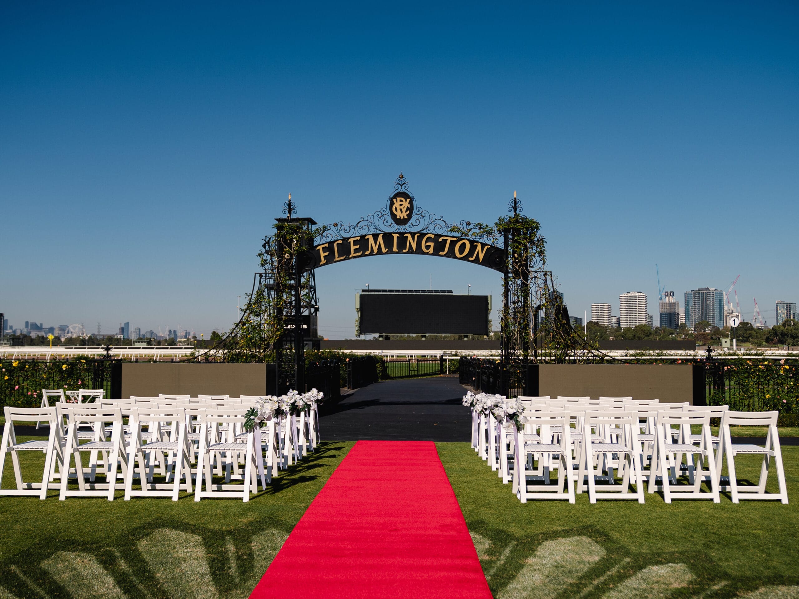Red Carpet - 10m - Image 2