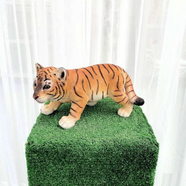 Tiger Cub - Hire Melbourne