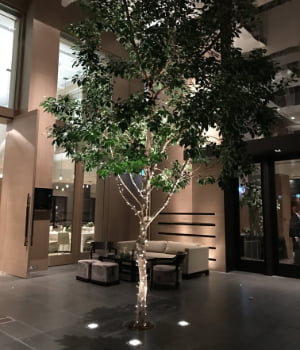 web - Fairy Lights - 1 - Hire Melbourne