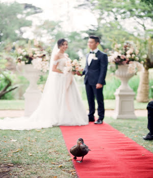 web - Red Carpet - 1 - Hire Melbourne