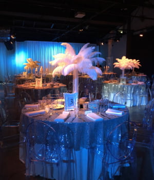 web - Silver Sequin Overlay - 1 - Hire Melbourne