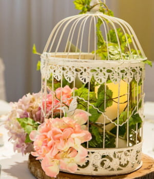 web - White Birdcage - 6 - Hire Melbourne