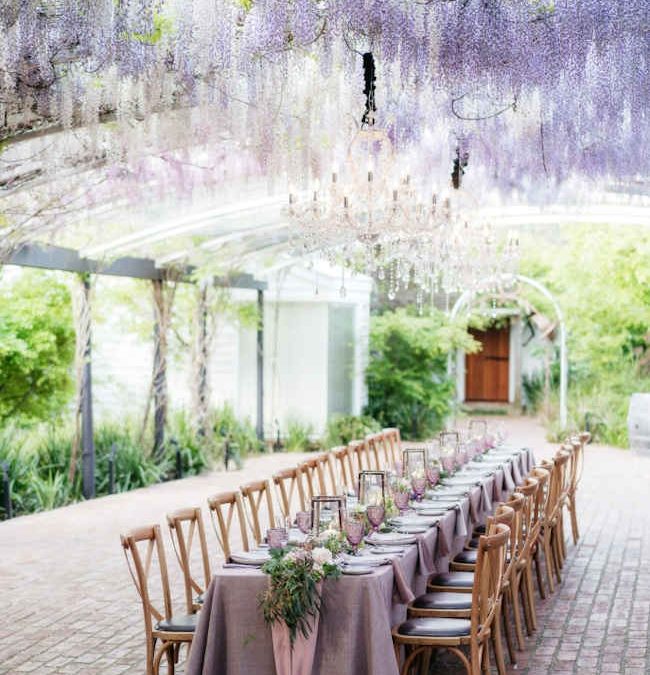 Potter’s Receptions