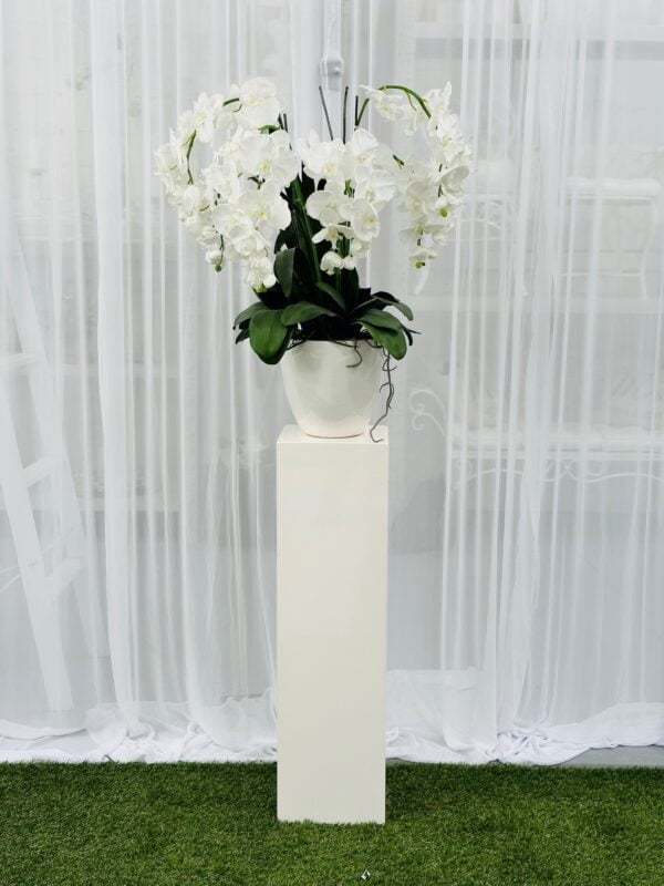 Off-white slim pedestal - Image 2
