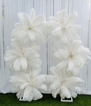 Backdrops & Partitions